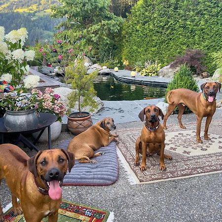 Ferienwohnung Waltensburg Breíl Exteriör bild